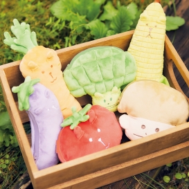 Vegetable Craft 