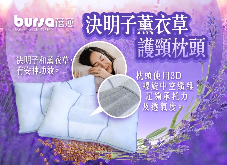 J2210042-RL-Pillow Promotion (RLMP-003-CL)_v3-OP_online-shop-880x640